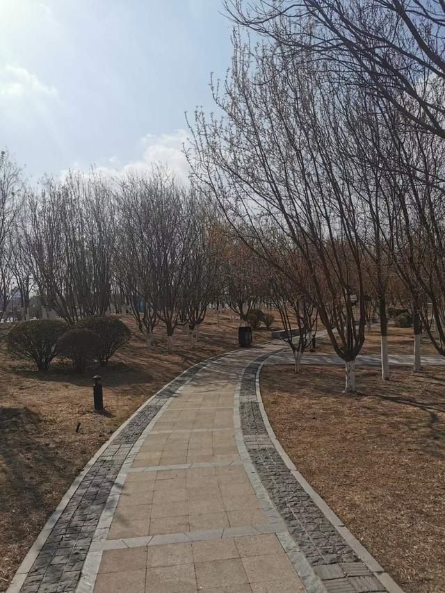 微信图片_20230326202847.jpg