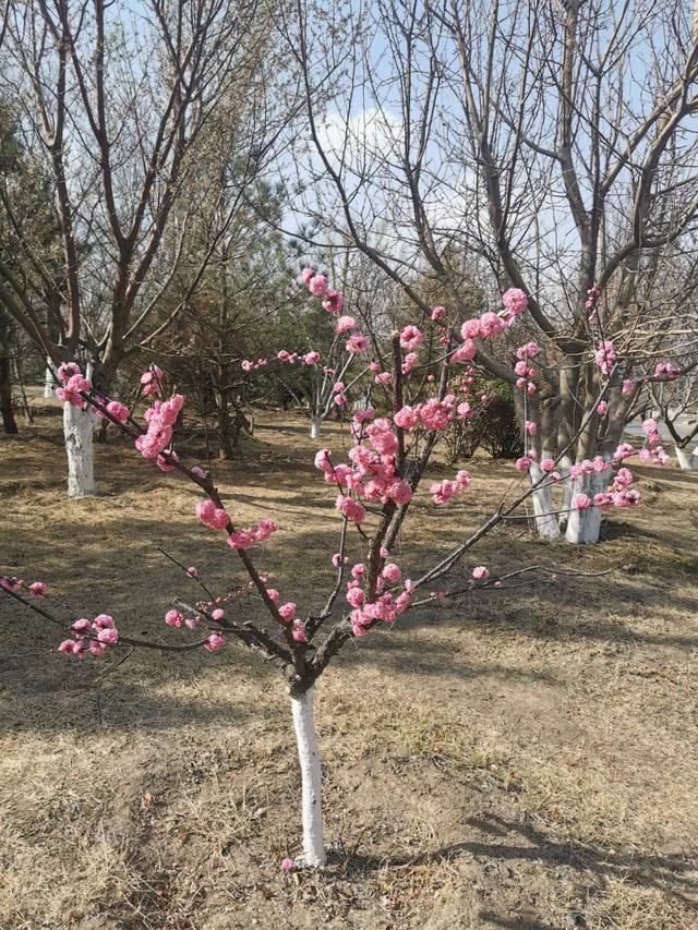 微信图片_20230326202836.jpg