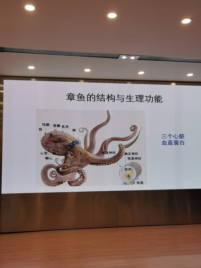 微信图片_20230510001146.jpg