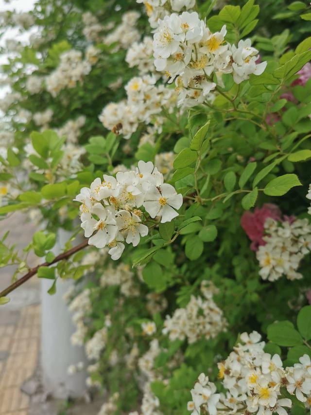 微信图片_20230510002348.jpg