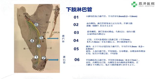 微信截图_20230610165415.png