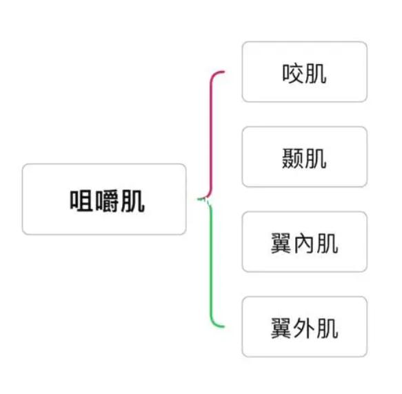 微信截图_20230610203258.png
