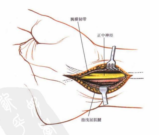 QQ截图20230623004508.png