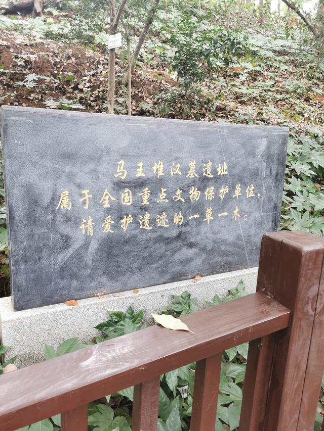 微信图片_20230717215036.jpg