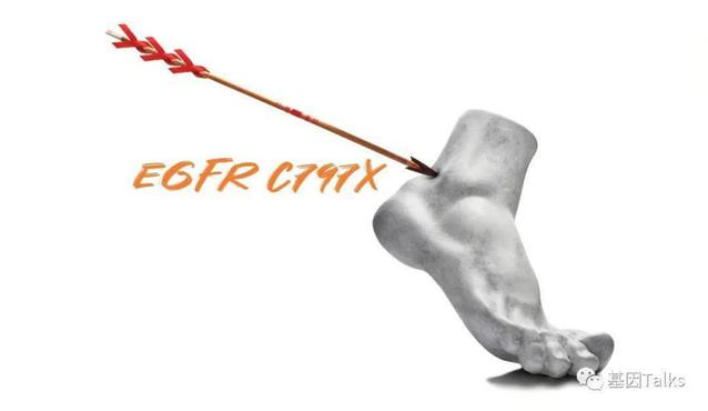 6121fa1e646d42adab030b969477c7a3.jpeg