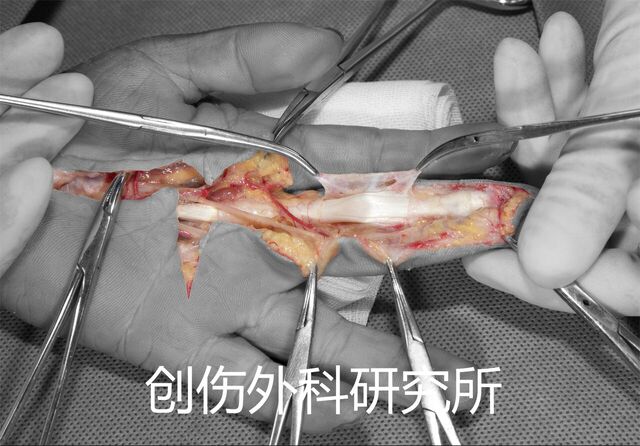 微信图片_20230928234219(1)(1).jpg