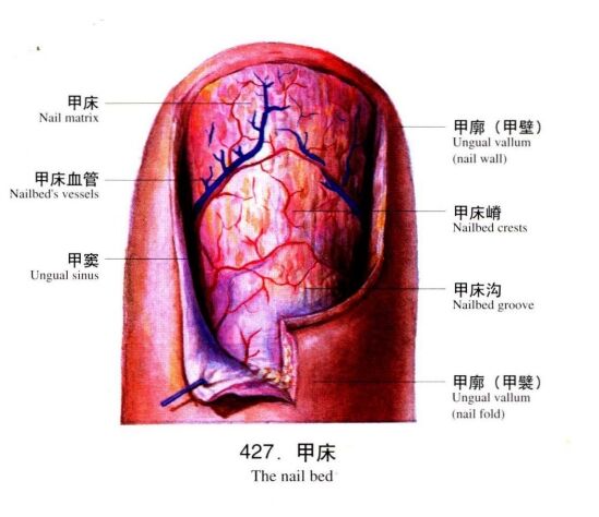 微信截图_20231007215842.png