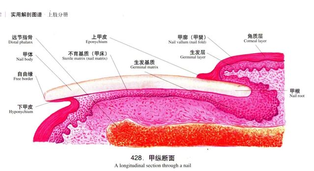 微信截图_20231007215857.png