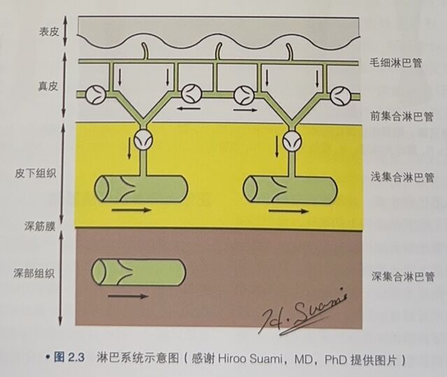 微信截图_20231007223218.png