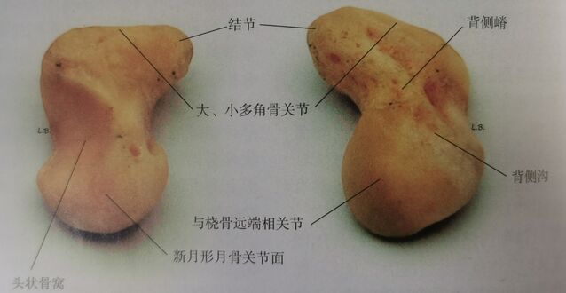 微信截图_20231108224222.png