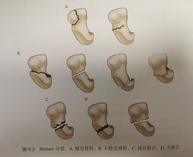 微信截图_20231108224146.png