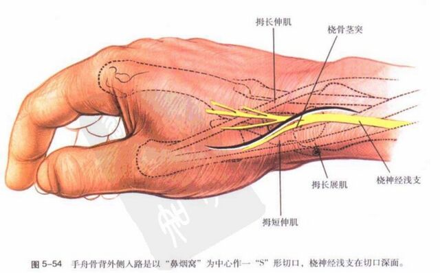 微信截图_20231108234702.png