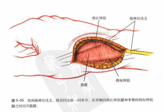 微信截图_20231108235113.png