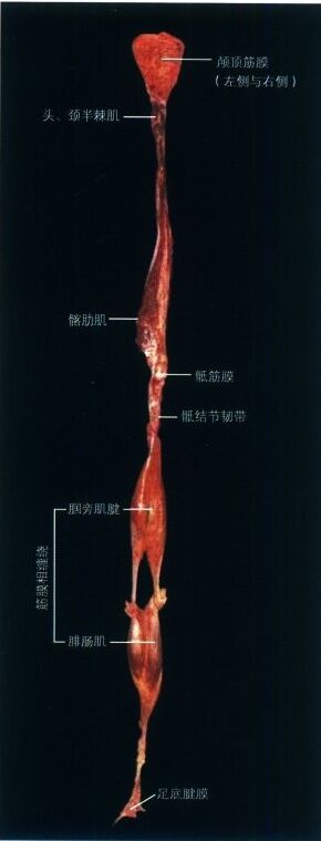 微信截图_20231114234629.png