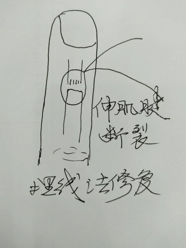 微信图片_20240202162107.jpg