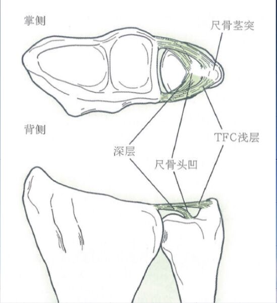 微信图片_20240221000847.png