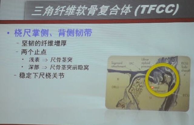 微信图片_20240221000553.png
