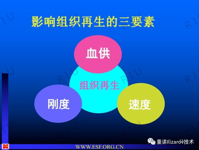 微信截图_20240227161123.png