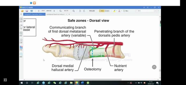 Screenshot_20200302_215204_com.camicrosurgeon.yyh.jpg