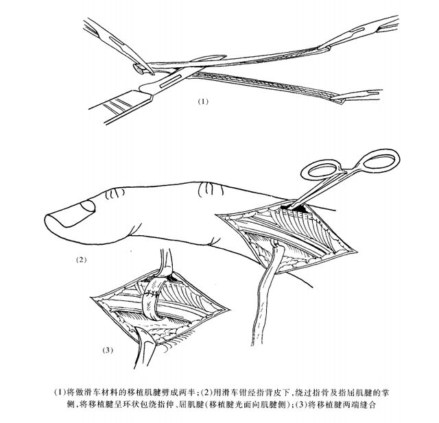 微信图片_20240423222525.png