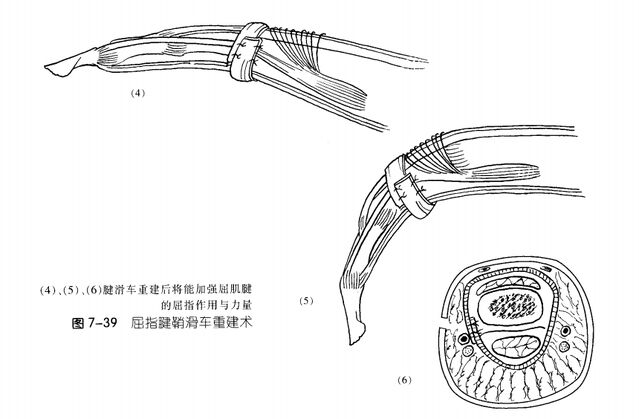 微信图片_20240423222529.png