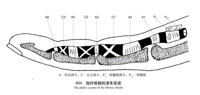 微信图片_20240423223147.png