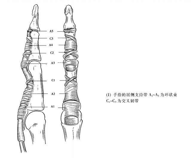 微信图片_20240423223150.png
