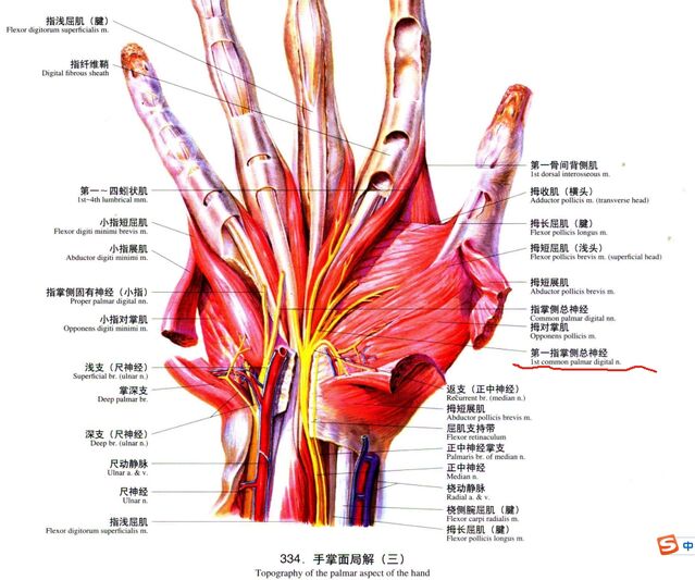 微信截图_20240528233137.png