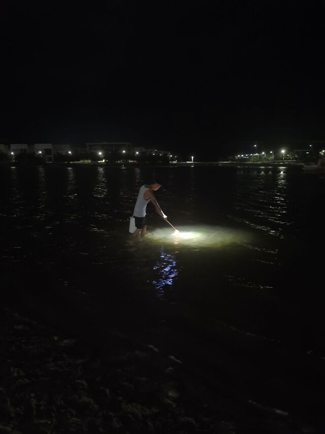 IMG_20240525_205522.jpg