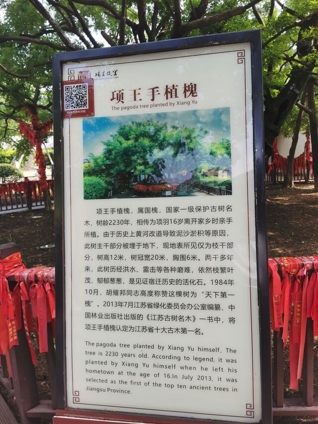 IMG_20240818_094752.jpg