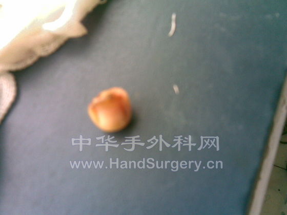 20090510(006).jpg