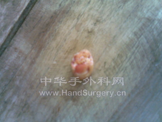 20090506.jpg