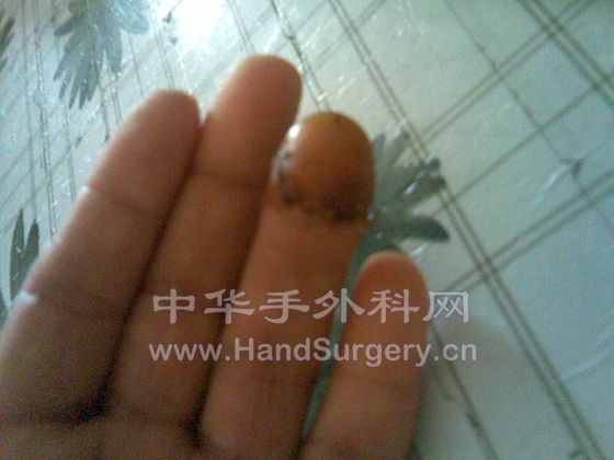 20090629.jpg