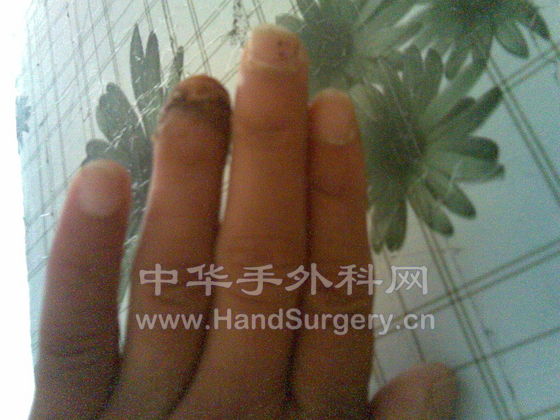 20090629(001).jpg