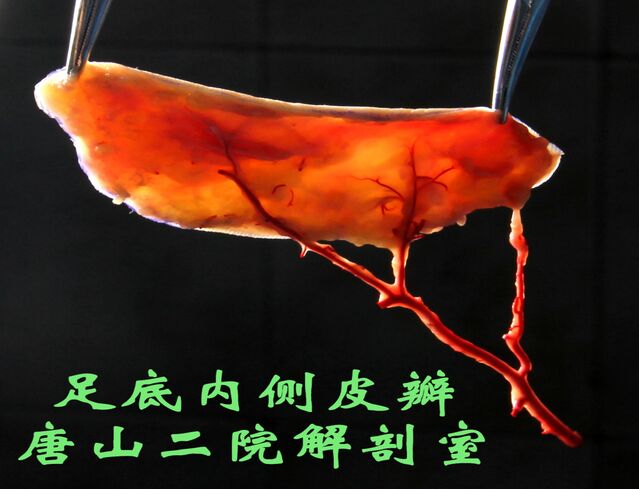 微信图片_20241023220842.png