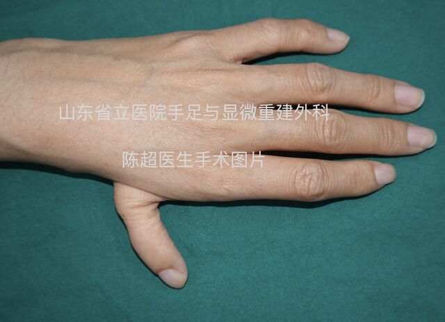 截屏2024-12-18 12.32.03.png