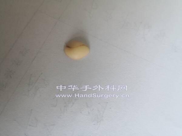 IMG_20200923_100230.jpg