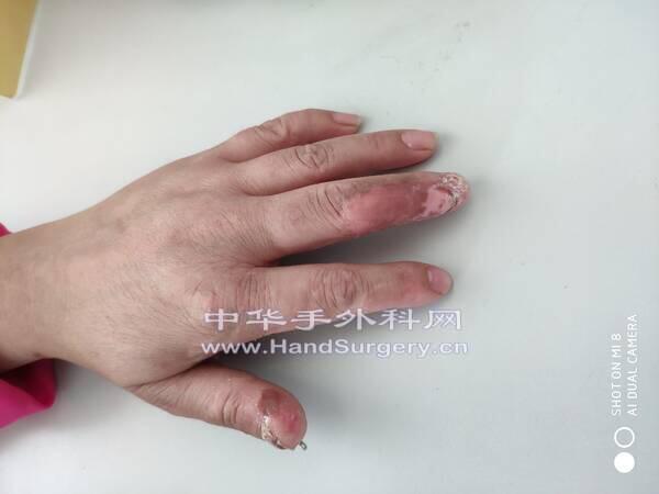 IMG_20190413_095223.jpg