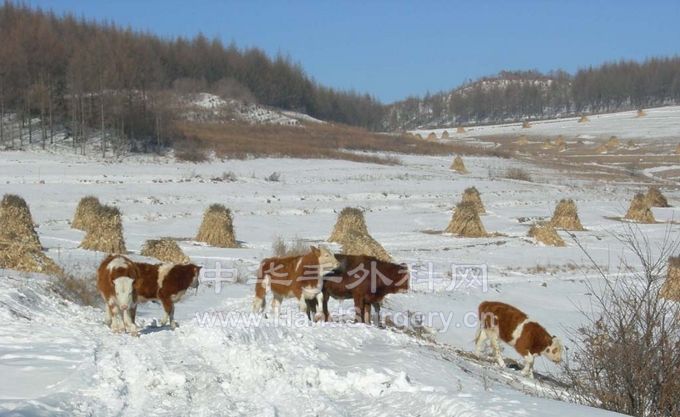 DSCN2147.JPG