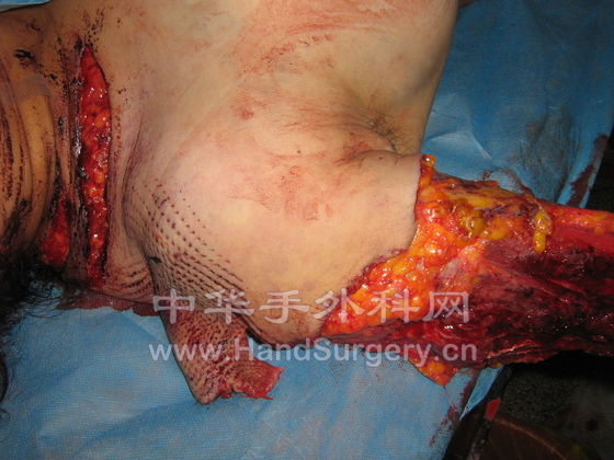 照片 562.jpg