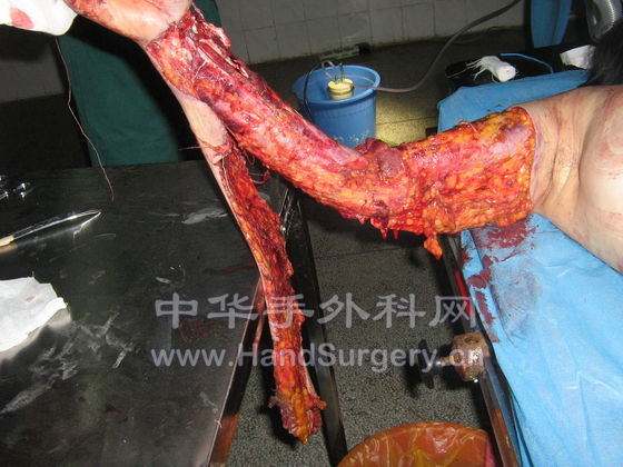 照片 566.jpg