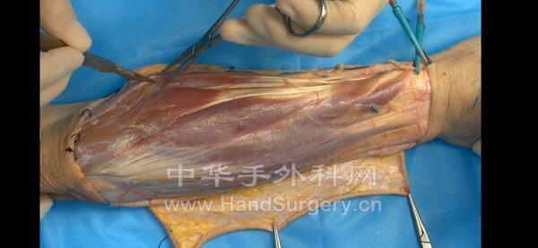 Screenshot_20210526_154256_com.example.haoyishu.jpg