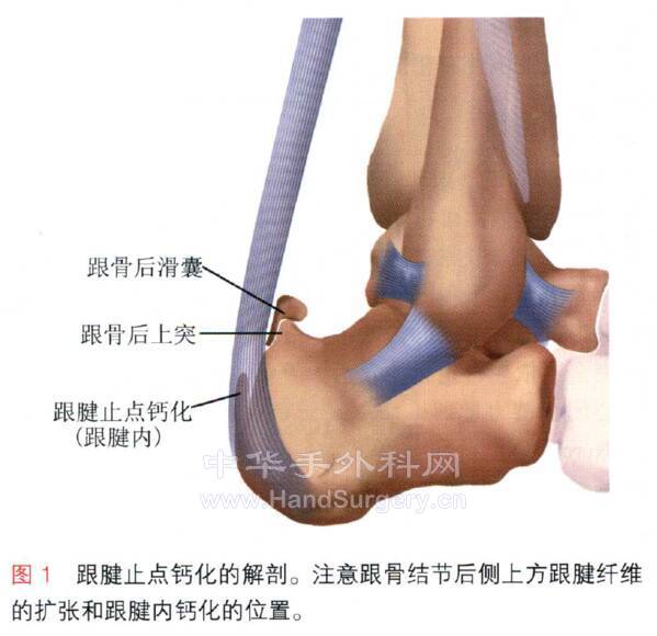 QQ截图20210720231008.png