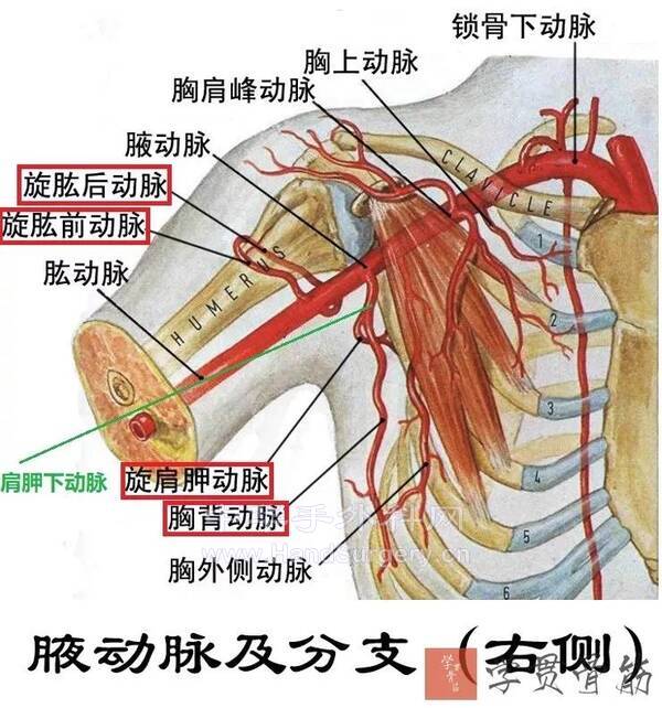 dingyue.ws.126.jpeg