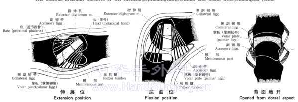 微信截图_20210815212430.png