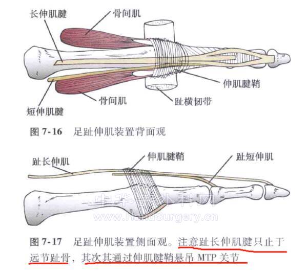 微信截图_20210901234525.png