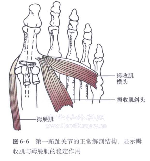 微信截图_20211014220659.png