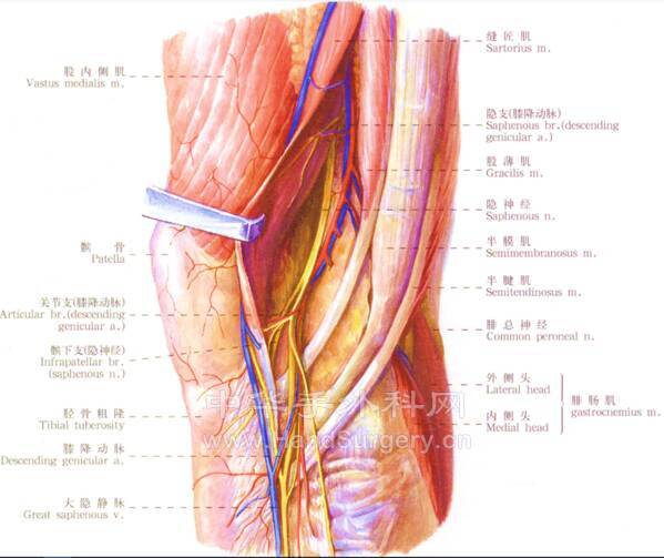 微信截图_20211017094353.png