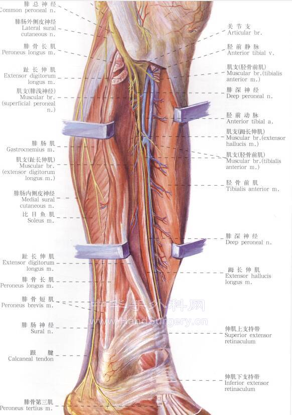微信截图_20211017194414.png