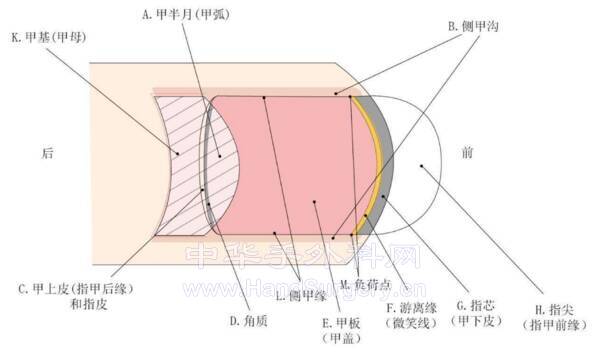 截图20211126110413.png